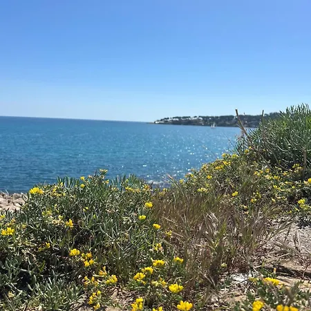 Fisherman's House In Old Antibes